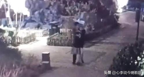 商洛吃瓜事件视频完整版,视频完整版揭秘惊人真相